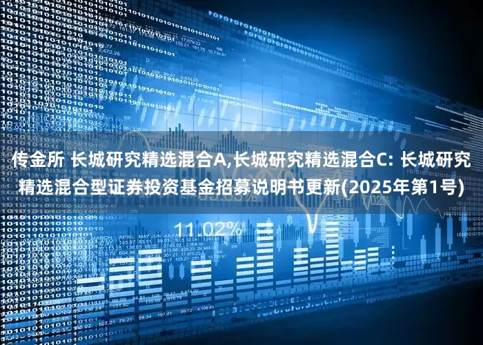 传金所 长城研究精选混合A,长城研究精选混合C: 长城研究精选混合型证券投资基金招募说明书更新(2025年第1号)