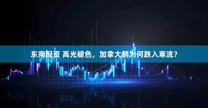 东南配资 高光褪色，加拿大鹅为何跌入寒流？